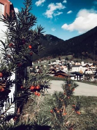 Hotel Daneu Гашурн Екстер'єр фото